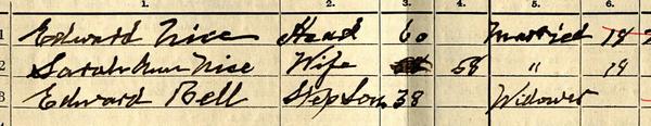 1911 census
